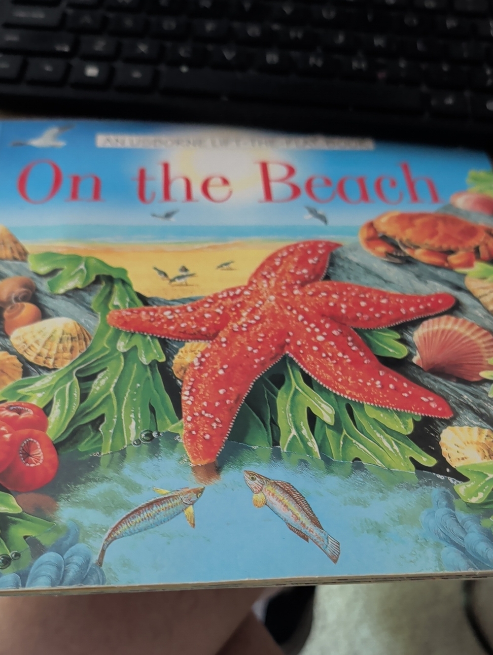 On the Beach Kids Puzzle/Book - Red Starfish Design